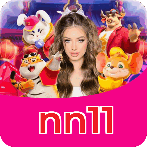 Interface nn11
